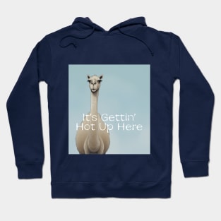 Camel It's gettin' hot up here Hoodie